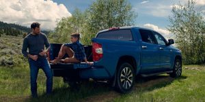 A blue 2020 Toyota Tundra parked in a field.