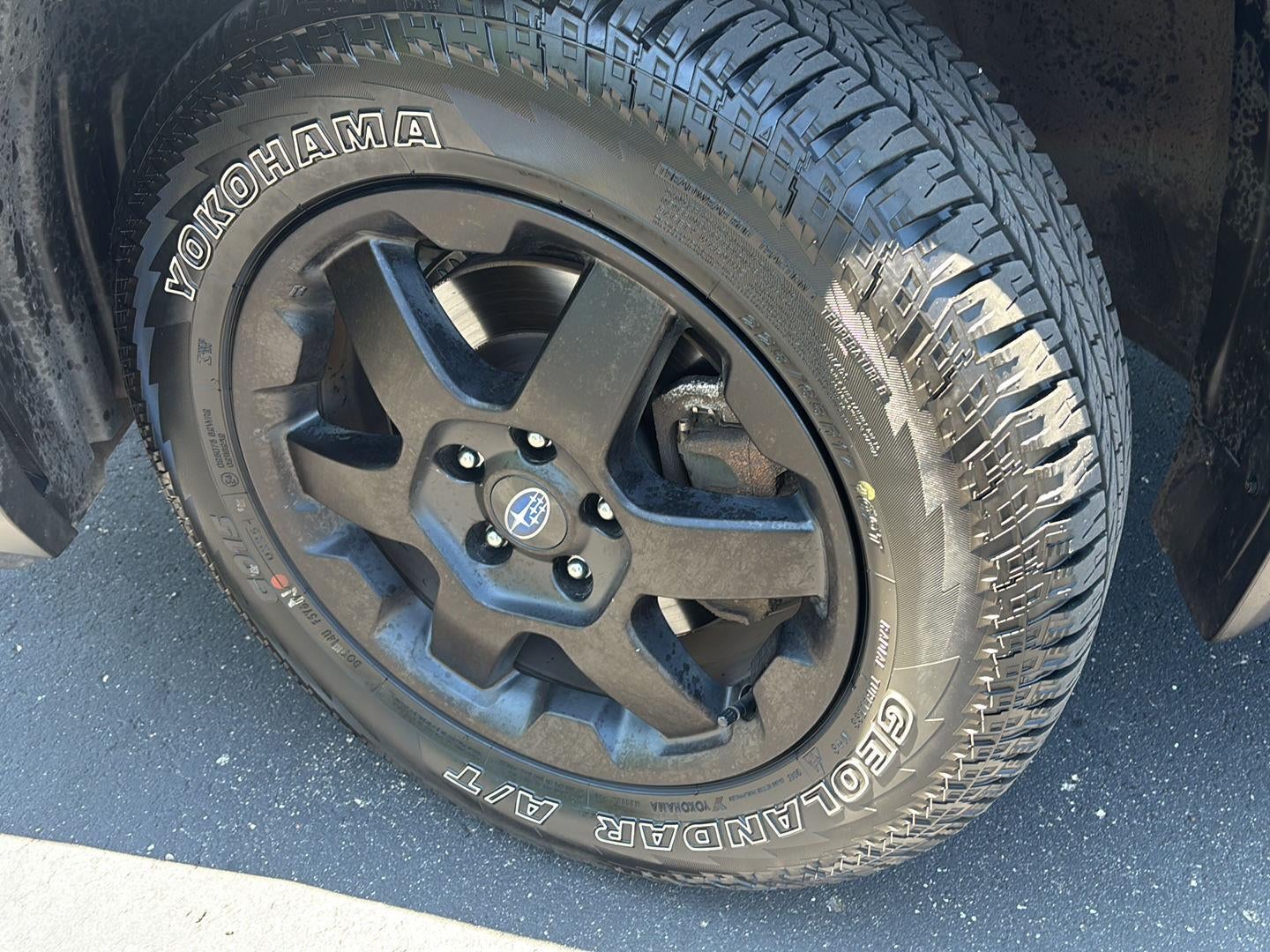 2025 Subaru OUTBACK WILD
