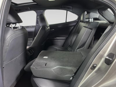 2021 Lexus UX300H UX 250h