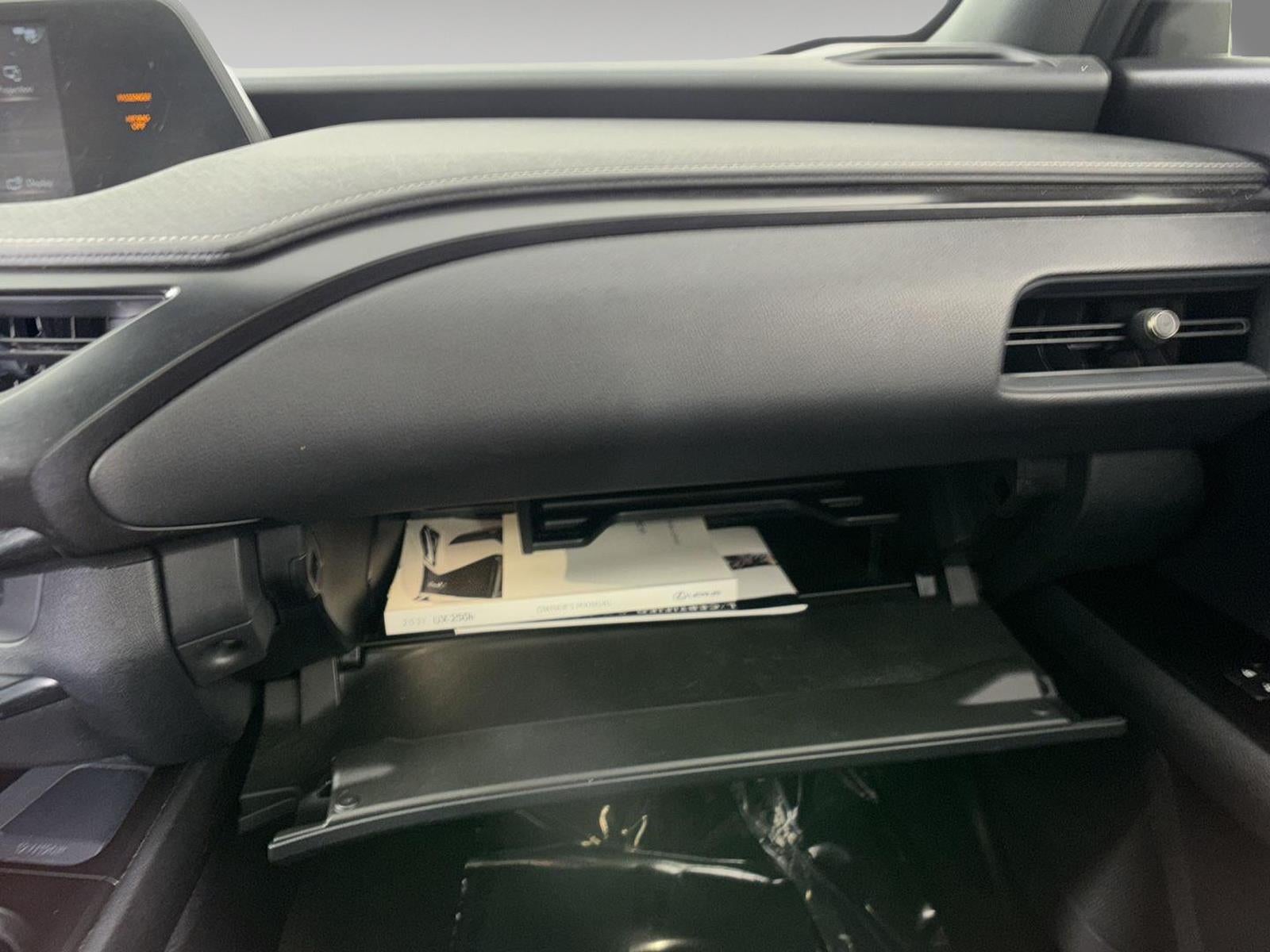 2021 Lexus UX300H UX 250h