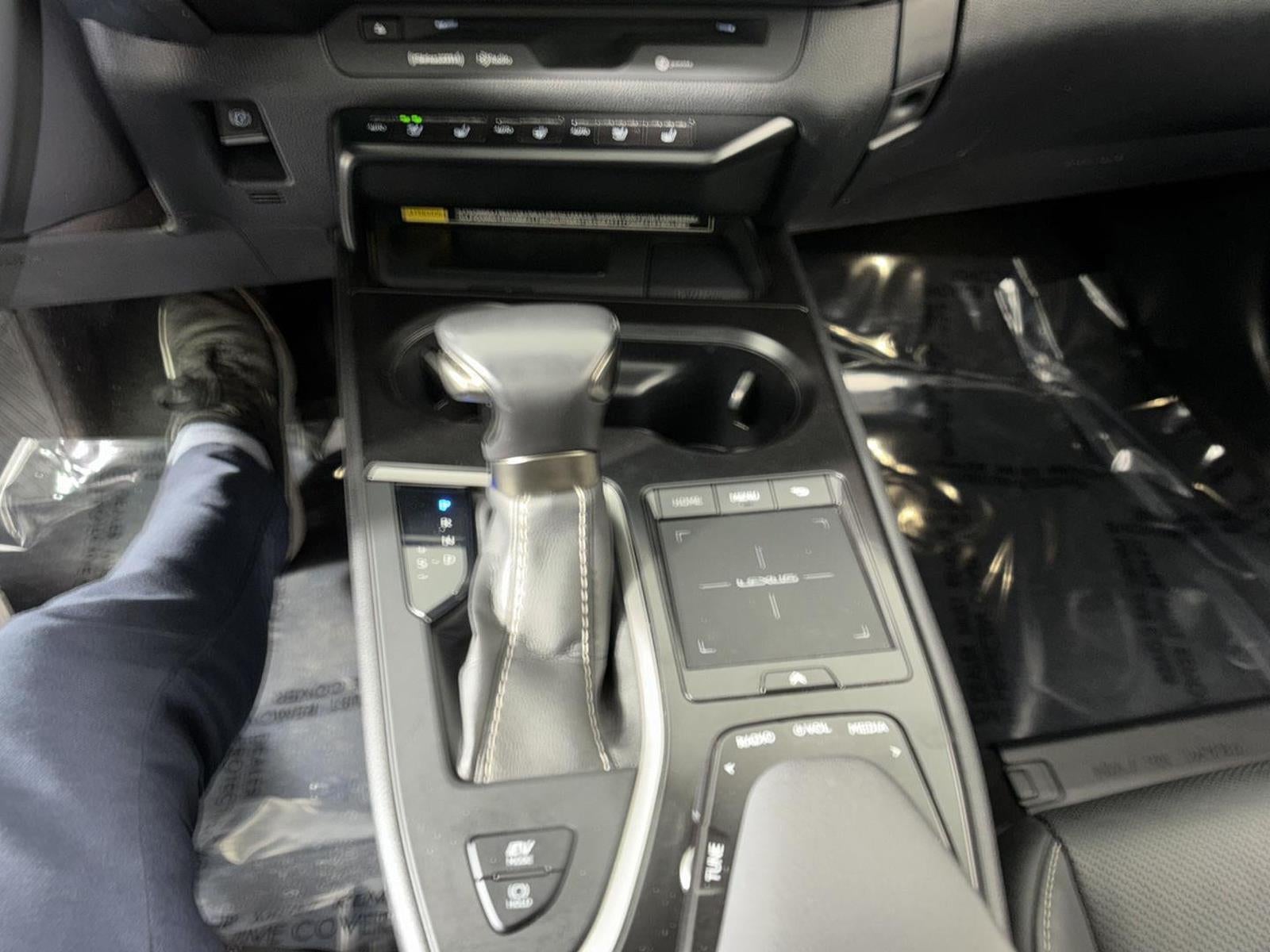 2021 Lexus UX300H UX 250h