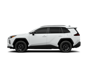 Toyota RAV4 Rental Car WI
