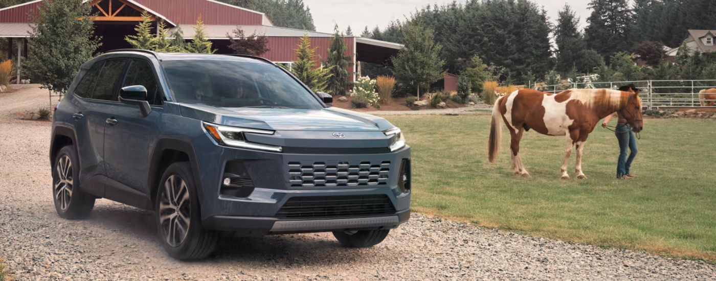 Grey 2026 Toyota RAV4 on a horse farm