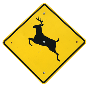 Deer Crossing Sign